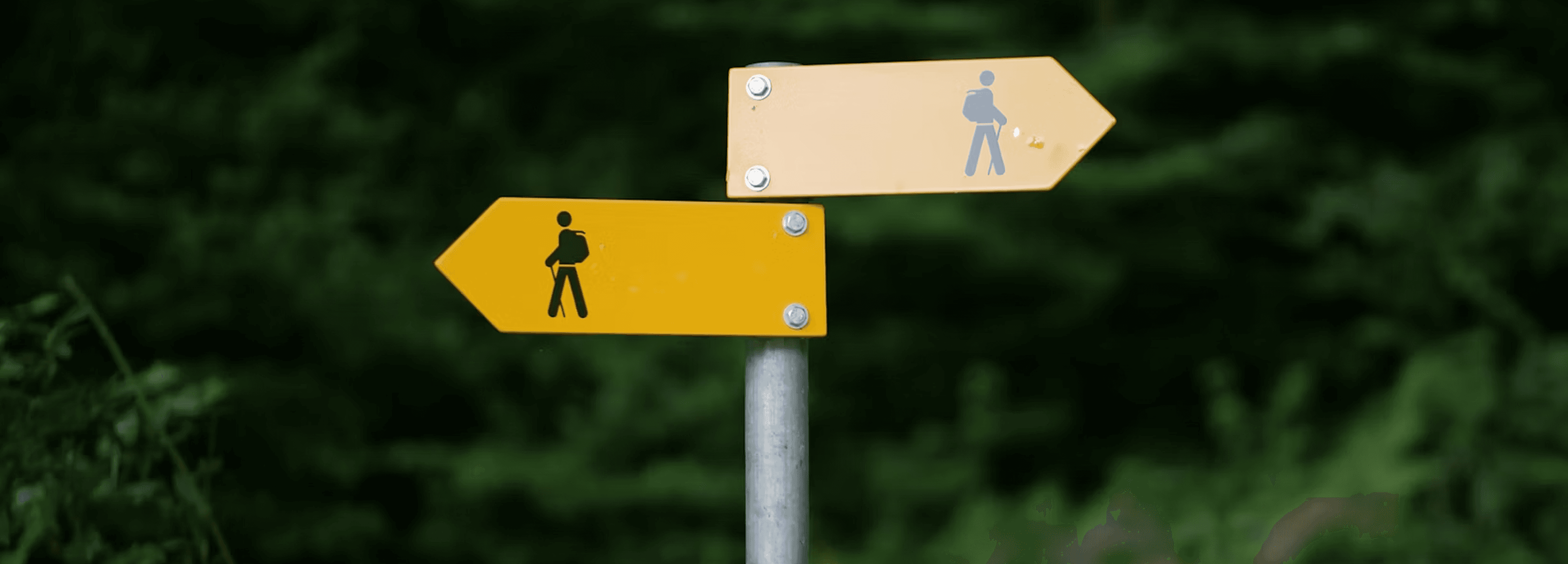 كيف تتخذ قرار بدون ما تكون ضايع؟